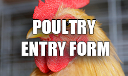 poultry-entry-button
